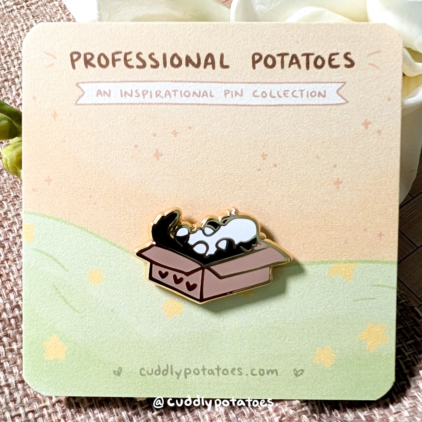"Box Cat" Mini Enamel Pin