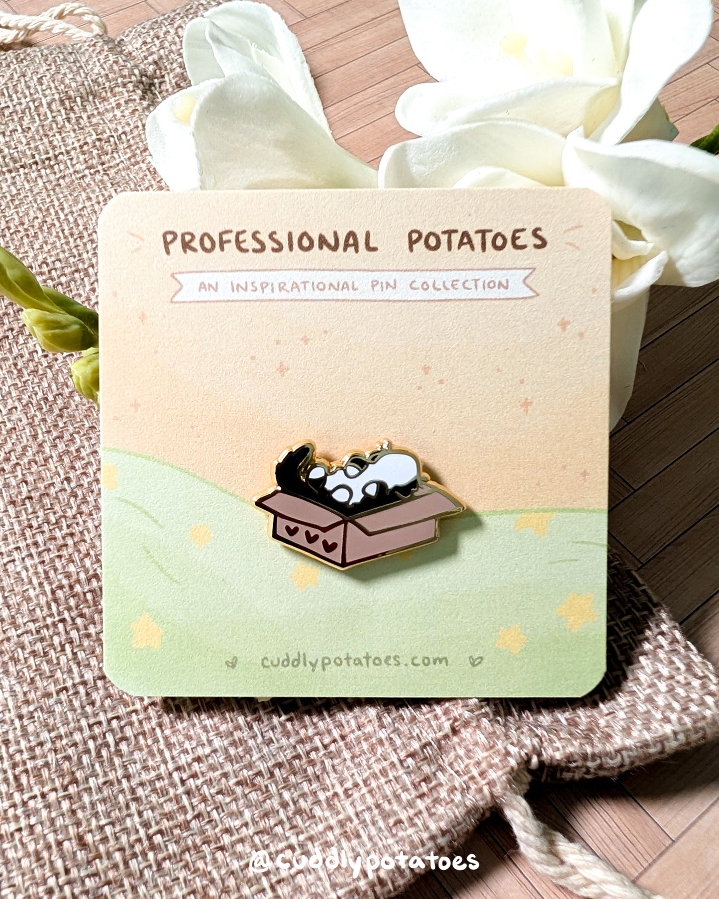 "Box Cat" Mini Enamel Pin