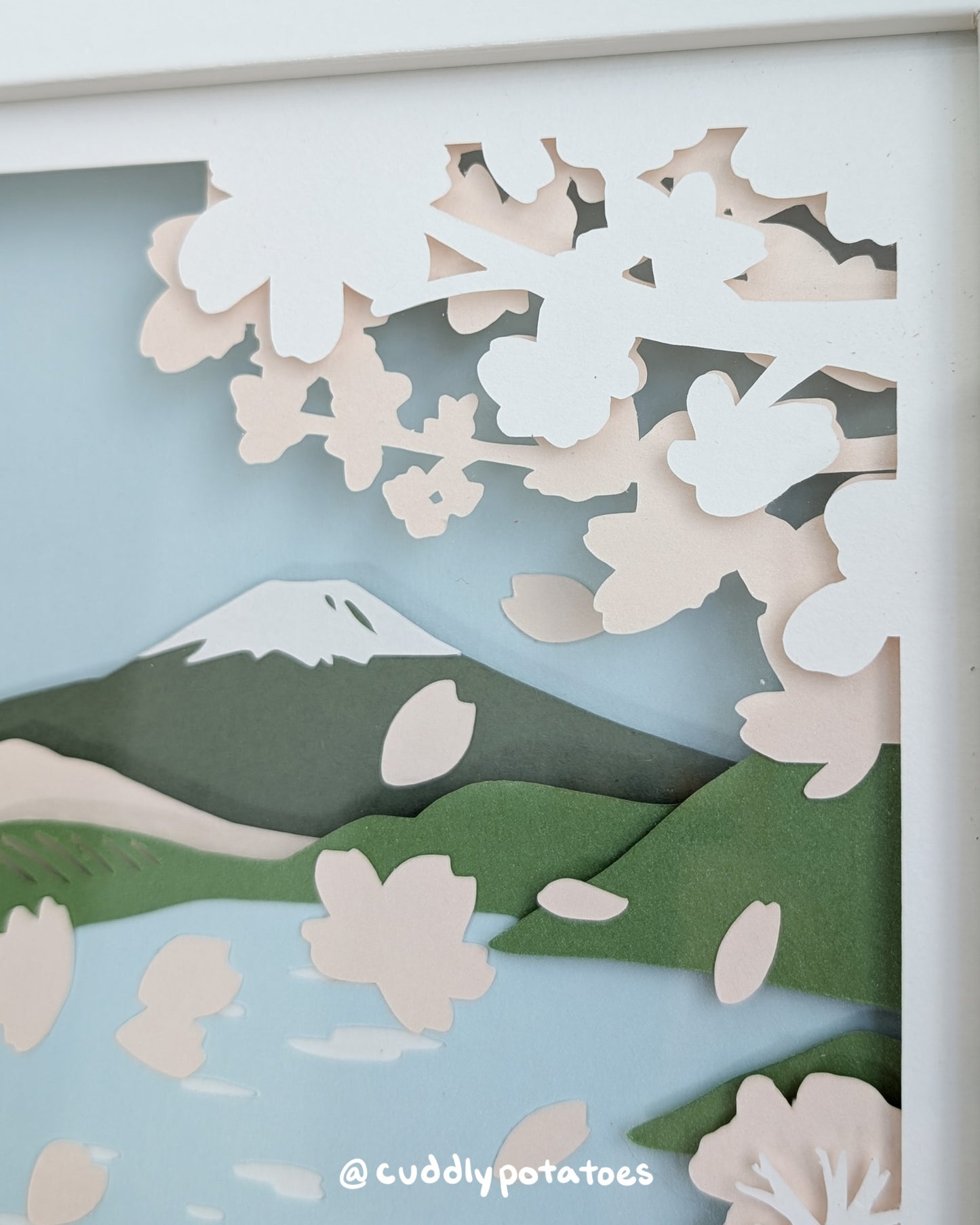 Fuji in Spring - Limited Storybox