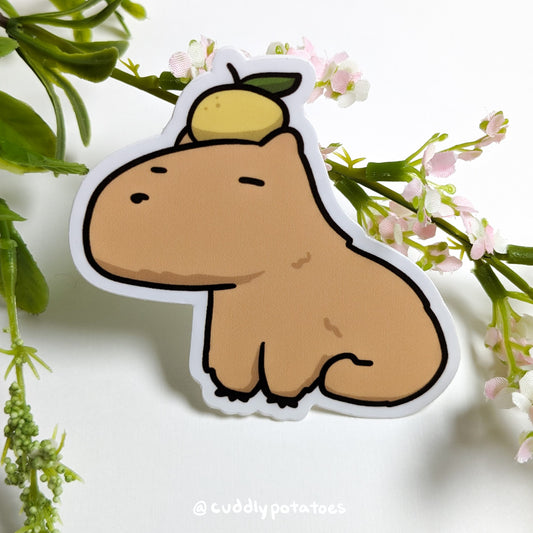 Capybara Vinyl Sticker